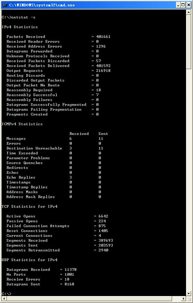 C:\>netstat -s